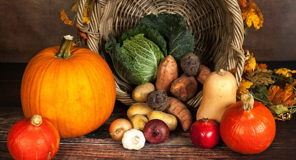 Autumn veggies and fruits IMAGE